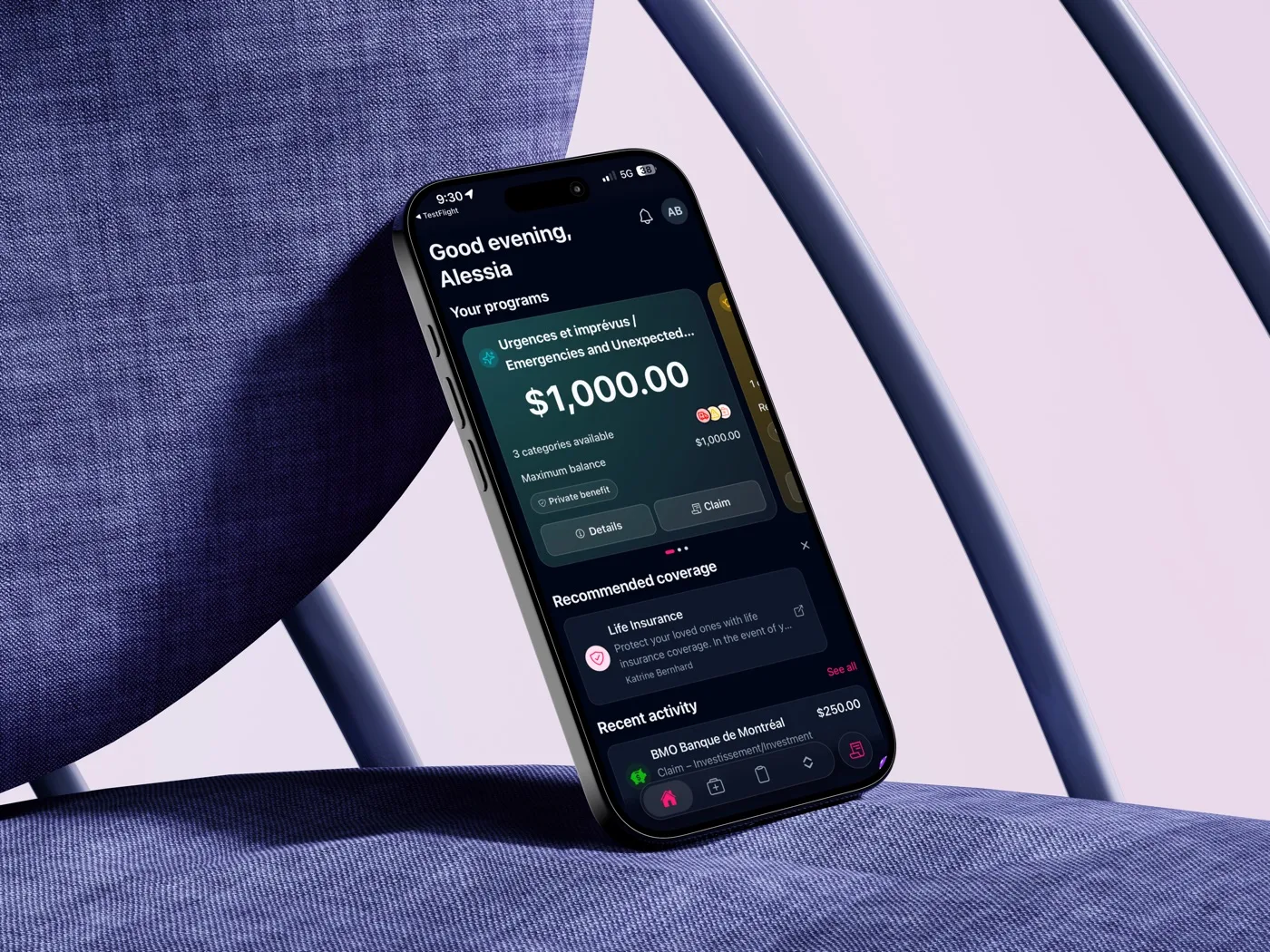 Phone showing the Tedy app with a program balance